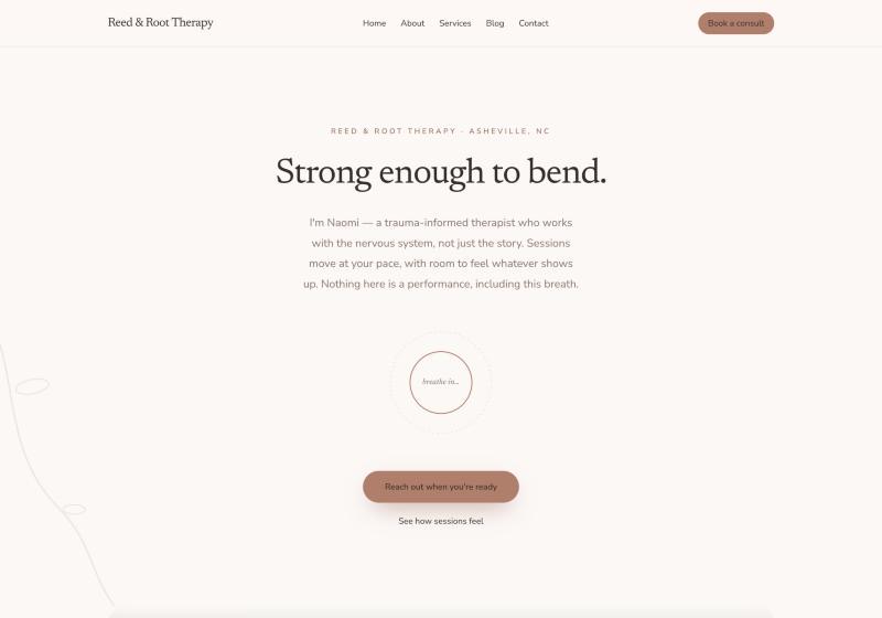 The Willow website, shown on a desktop screen